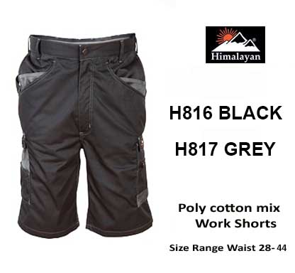 Himalayan Icon Shorts